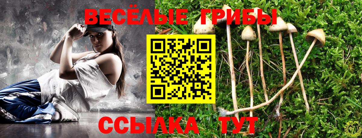 что такое наркотик  Вход с VPN  Прохладный  Галлюциногенные грибы Psilocybine cubensis  Галлюциногенные грибы Psilocybine cubensis 