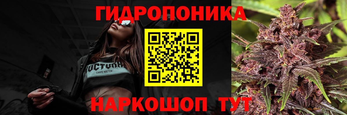 Бошки Шишки SATIVA & INDICA Прохладный